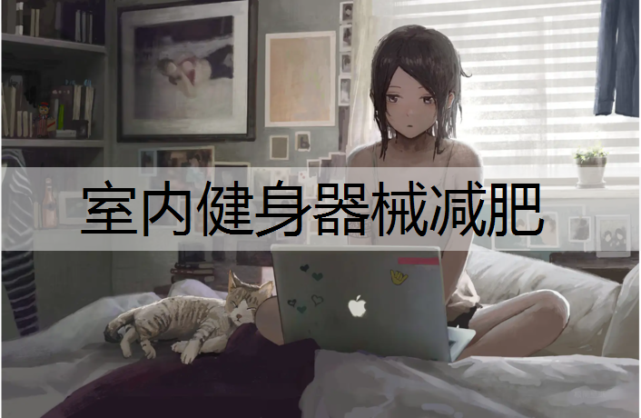 室內健身器械減肥