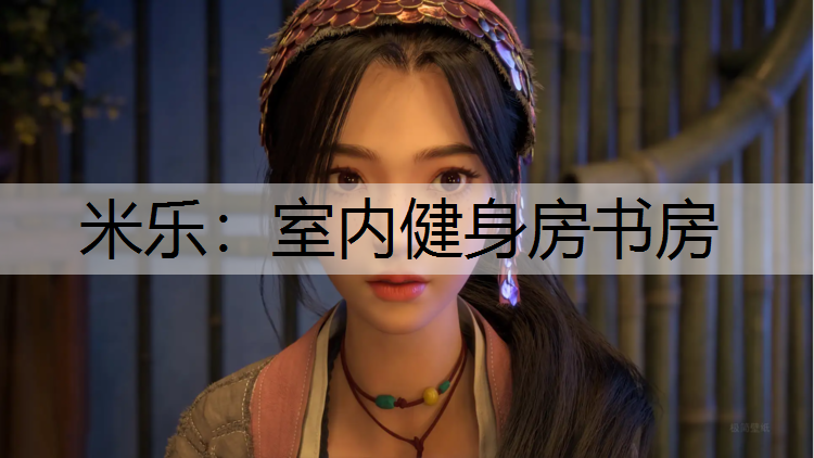 米樂：室內健身房書房
