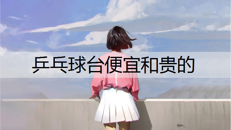 乒乓球臺便宜和貴的