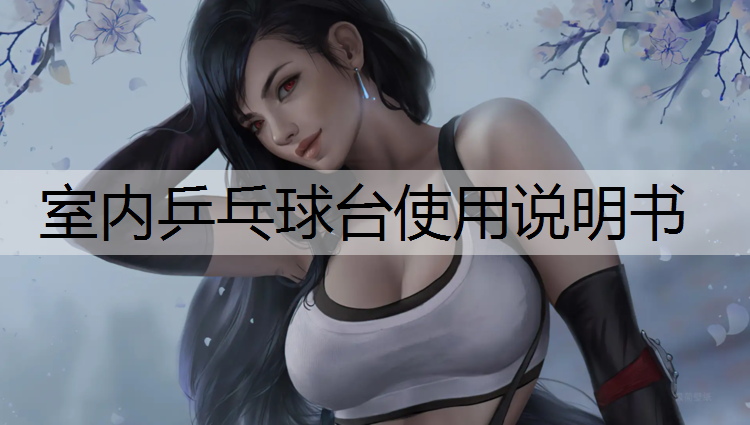 室內乒乓球臺使用說明書