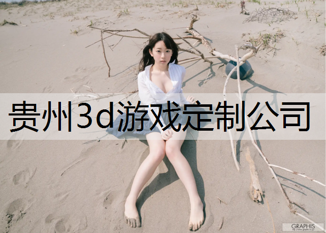 <strong>貴州3d游戲定制公司</strong>