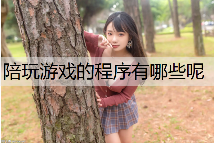 <strong>陪玩游戲的程序有哪些呢</strong>