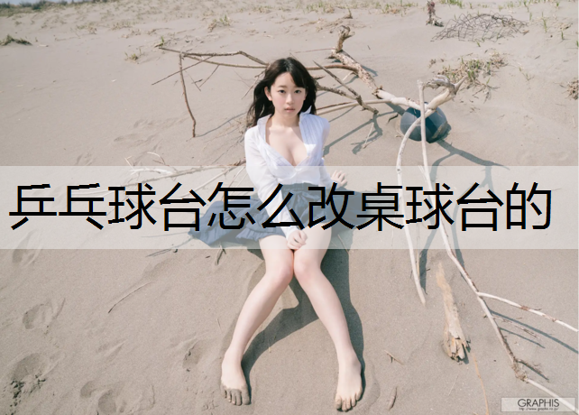 乒乓球臺怎么改桌球臺的
