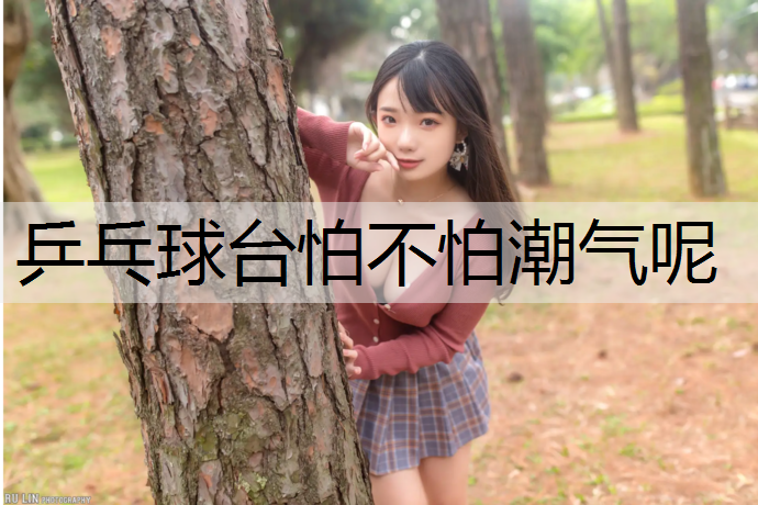 乒乓球臺(tái)怕不怕潮氣呢