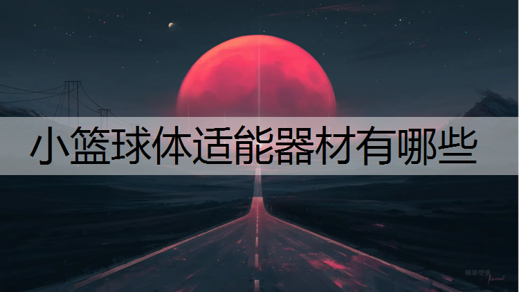 小籃球體適能器材有哪些