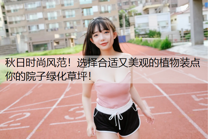 秋日時尚風(fēng)范！選擇合適又美觀的植物裝點你的院子綠化草坪！
