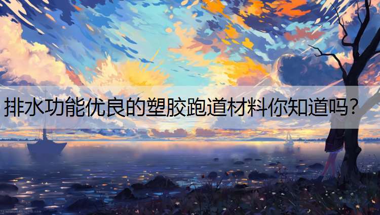 排水功能優(yōu)良的塑膠跑道材料你知道嗎？