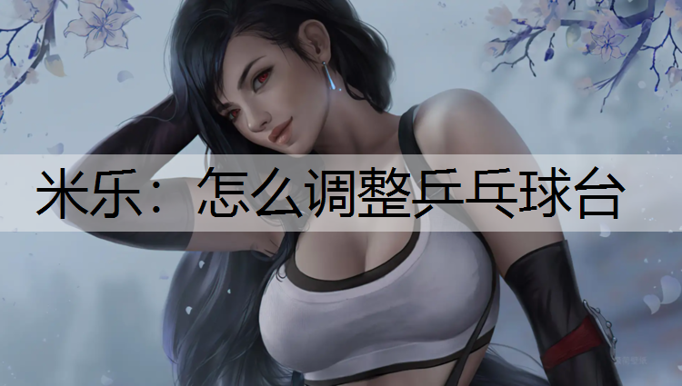 米樂(lè)：怎么調(diào)整乒乓球臺(tái)