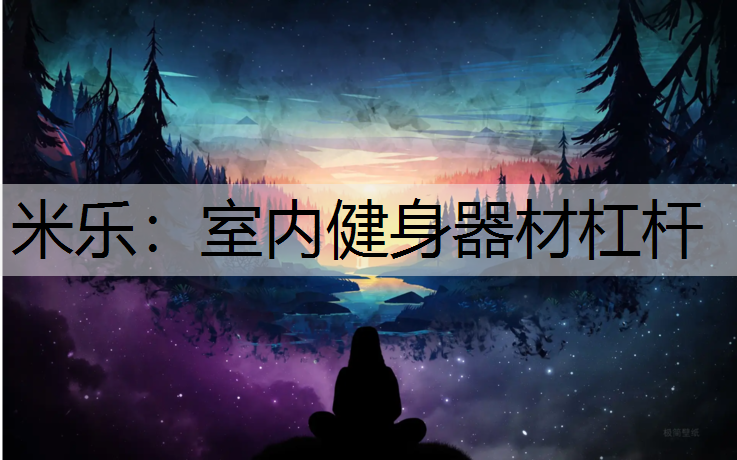 <strong>米樂：室內健身器材杠桿</strong>