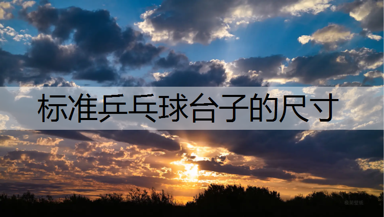 標準乒乓球臺子的尺寸