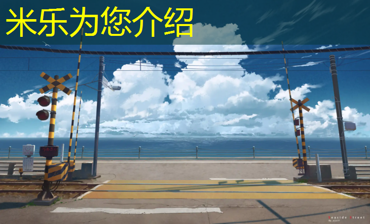 <strong>米樂：衡水小區(qū)塑膠跑道材料</strong>