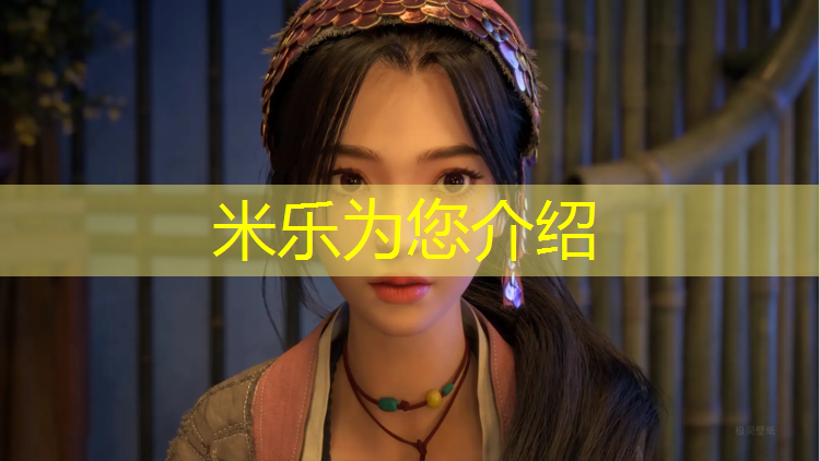 <strong>米樂為您介紹：南岸網球網價格</strong>