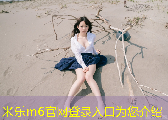 米樂為您介紹：蕪湖小學塑膠跑道劃線圖