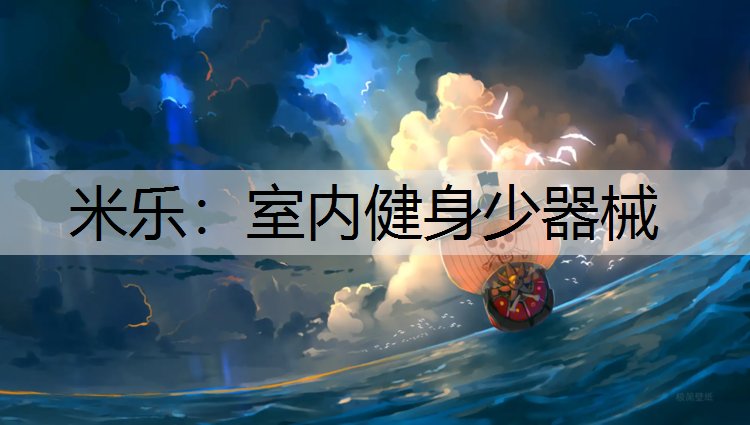 室內健身少器械