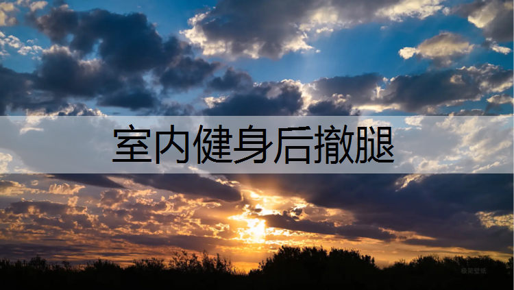 室內(nèi)健身后撤腿
