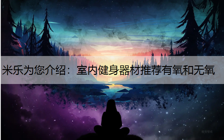 室內(nèi)健身器材推薦有氧和無氧