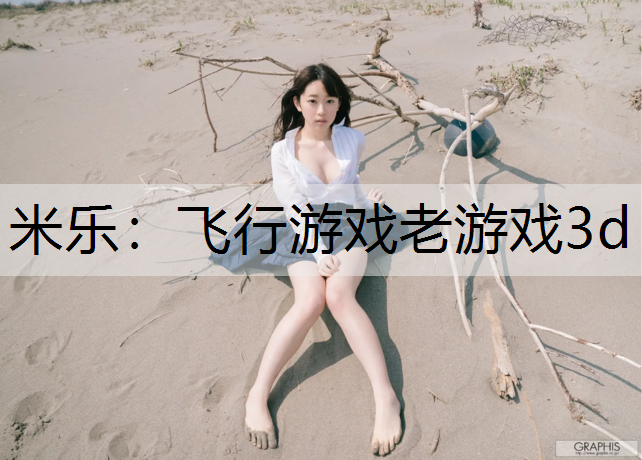 飛行游戲老游戲3d