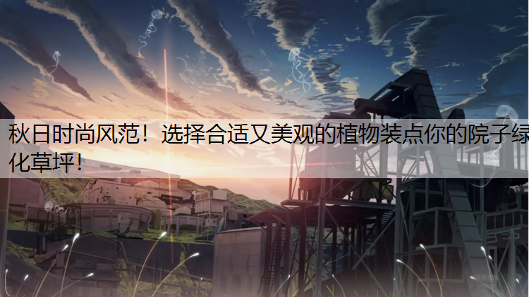 秋日時尚風范！選擇合適又美觀的植物裝點你的院子綠化草坪！