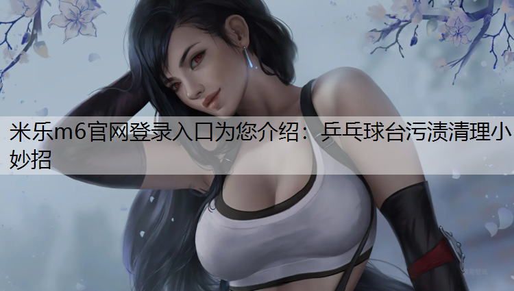 乒乓球臺污漬清理小妙招