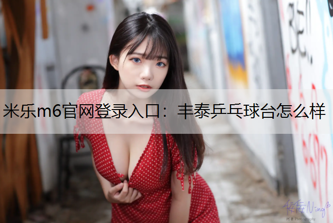 豐泰乒乓球臺怎么樣