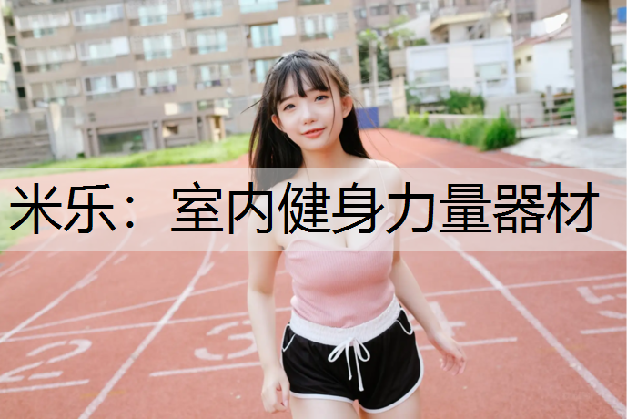 室內(nèi)健身力量器材