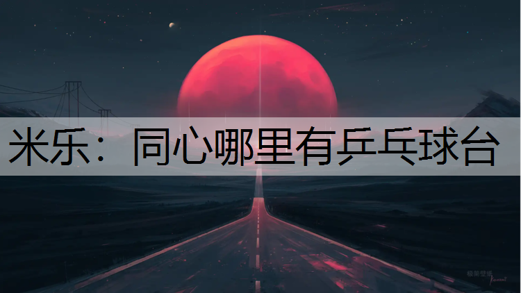 同心哪里有乒乓球臺